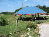 40_balais-01.jpg