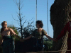 arbre-18.jpg