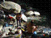 creisciano-01.jpg