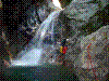 creisciano-02.jpg