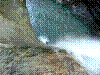 creisciano-05.jpg