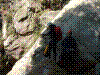cugnasco-01.jpg