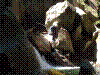 cugnasco-08.jpg