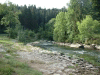 entre-31.jpg