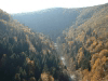 florence-29.jpg