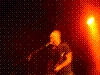 ginkgo-20.jpg