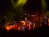 ginkgo-33.jpg