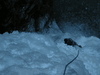 glace-31.jpg