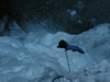 glace-33.jpg