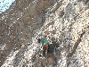 grosnez-15.jpg