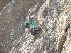 grosnez-16.jpg