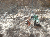 grosnez-17.jpg
