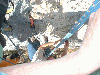 grosnez-21.jpg