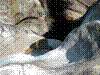 iragna-14.jpg