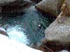 iragna-23.jpg