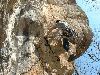 loola-06.jpg
