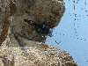 loola-16.jpg
