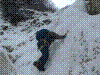 na2002-01.jpg