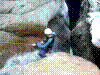 ossogna-03.jpg