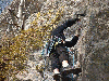 plomb-02.jpg