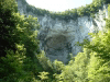 roots-01.jpg