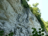 roots-02.jpg