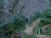 roots-03.jpg