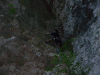roots-07.jpg