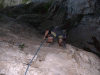 roots-09.jpg