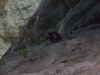 roots-11.jpg