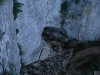 roots-14.jpg