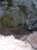 roots-15.jpg