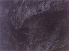 sarrazine-05.jpg