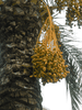 sete_09_10-33.jpg