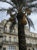 sete_09_10-34.jpg