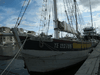 sete_09_10-42.jpg
