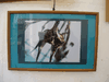 zone_art_01-20.jpg